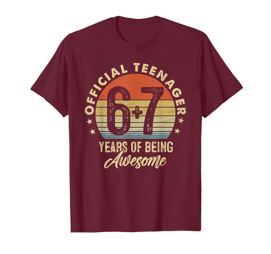 Six Seven Meme 6 + 7 13 Year Old Birthday Shirt 67 Gen Alpha T-Shirt