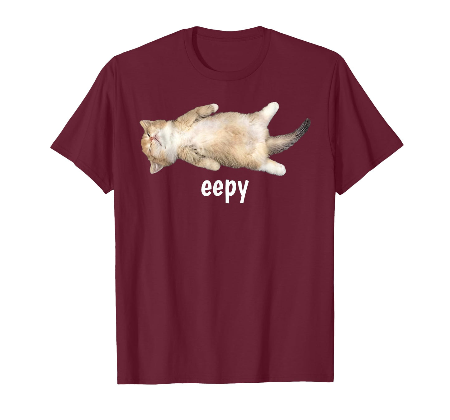 Eepy Cat Meme Funny Sleepy Cat Viral Gen Z Sarcastic Humor T-Shirt