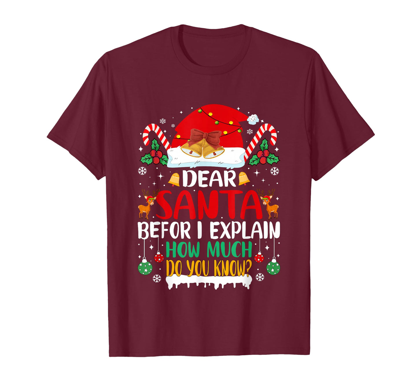 Funny Christmas Kids Adults Dear Santa I Can Explain T-Shirt