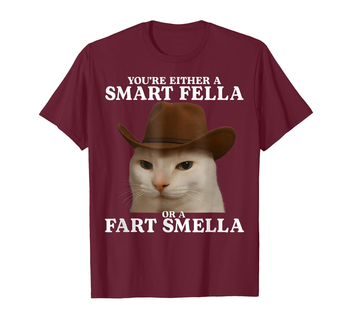 You're Either a Smart Fella or a Fart Smella Funny Cat Meme T-Shirt