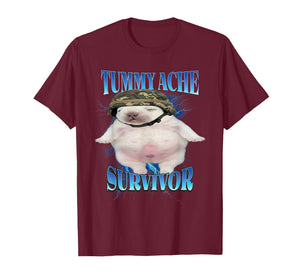Tummy Ache Survivor Funny Pibble Graphic Meme Brainrot T-Shirt