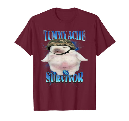 Tummy Ache Survivor Funny Pibble Graphic Meme Brainrot T-Shirt
