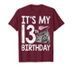 It's My 13th Birthday Music Lover Teen Musician T-Shirt