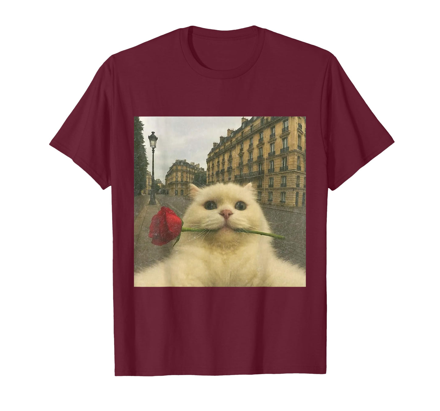 Funny Romantic Cat Selfie Paris Rose Cat Meme Valentine T-Shirt