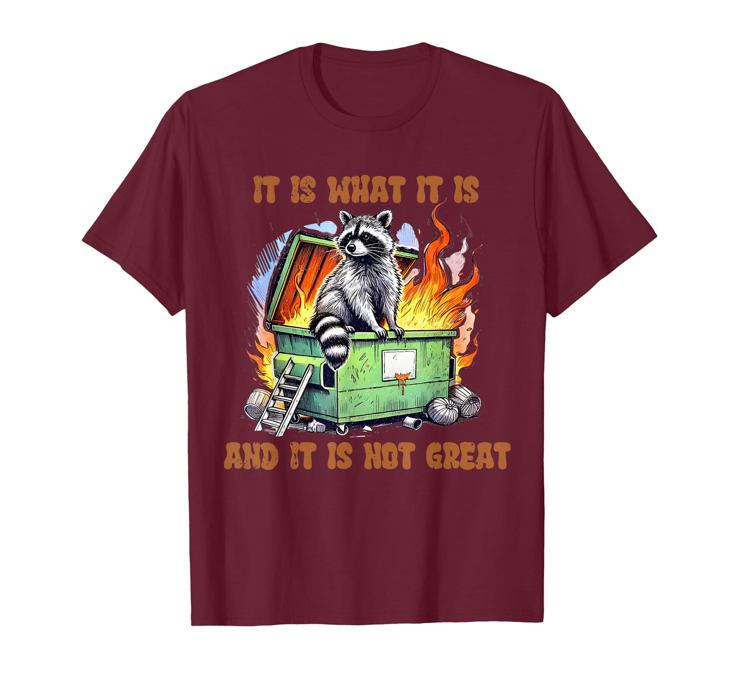 It is What Not Great Raccoon Mental Health Lil Dumpster Meme T-Shirt