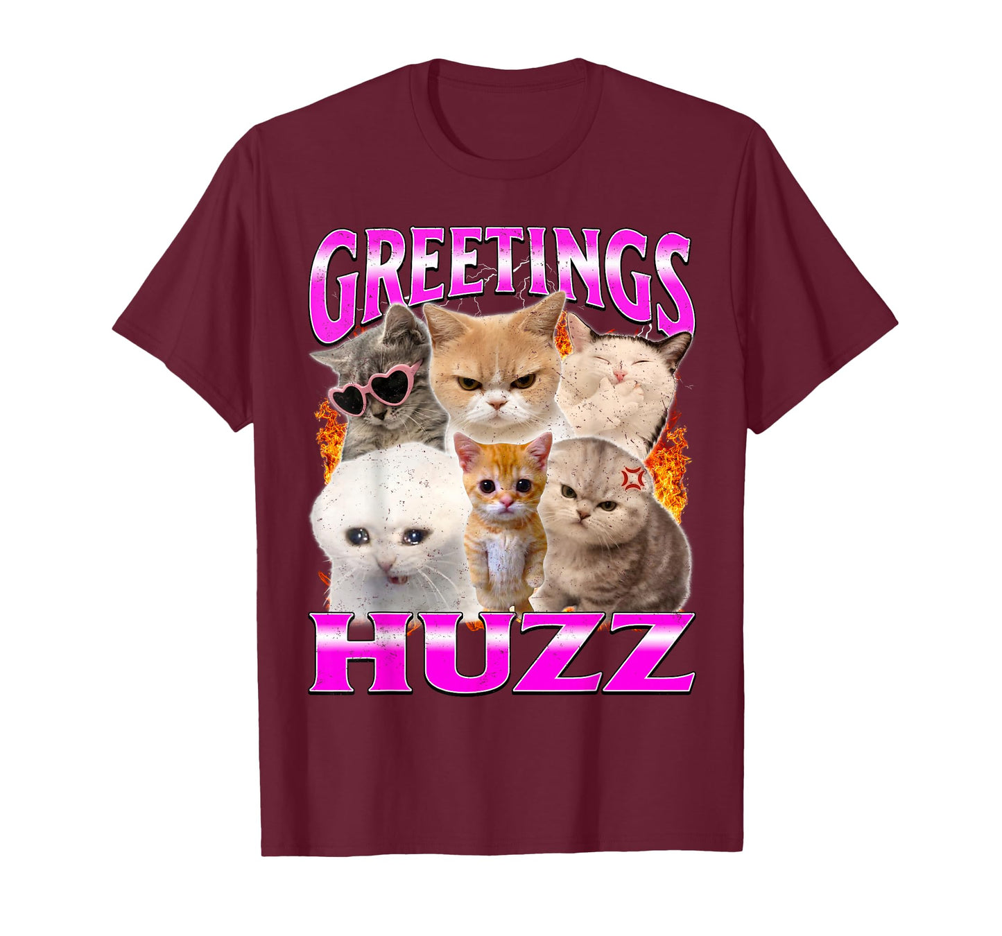 Greetings Huzz Funny Silly Cats Meme T-Shirt