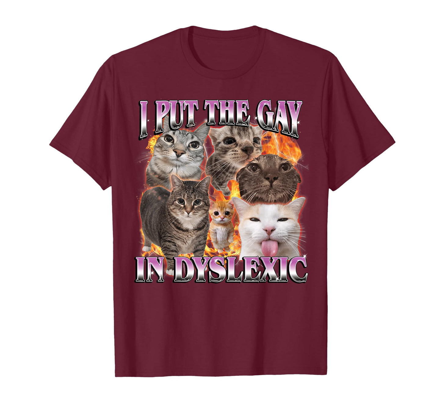 I Put The Gay in Dyslexic Funny Cat Meme Bootleg Men Women T-Shirt