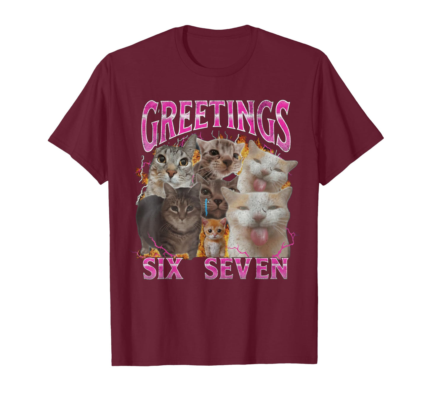 Greetings 67 Funny Cat Meme Funny Six Seven Meme T-Shirt