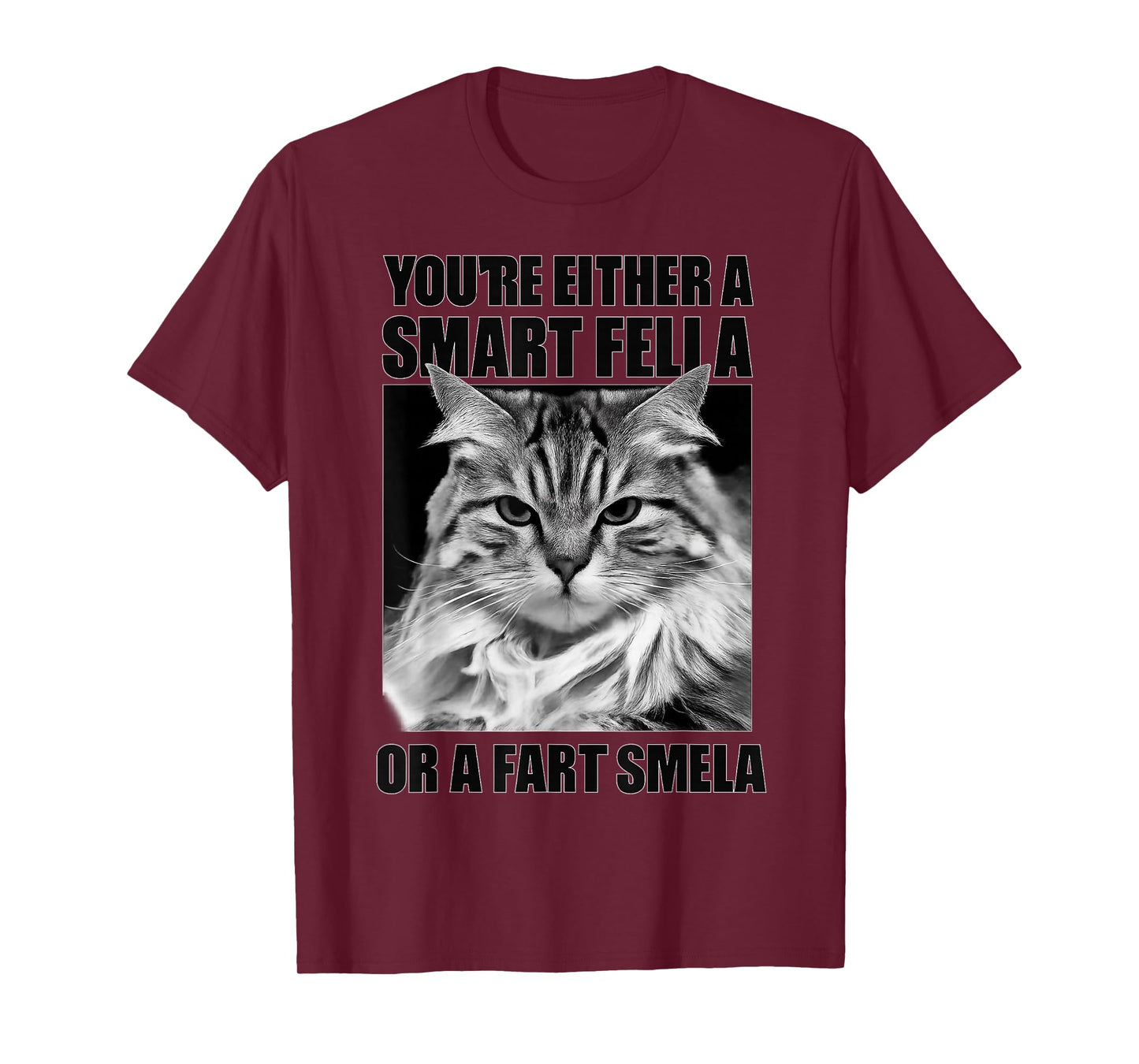 You're Either A Smart Fella Or A Fart Smella for Cats Lovers T-Shirt