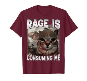Rage is Consuming Me Silly Staring Cat Meme Joke Dad Mom Cat T-Shirt