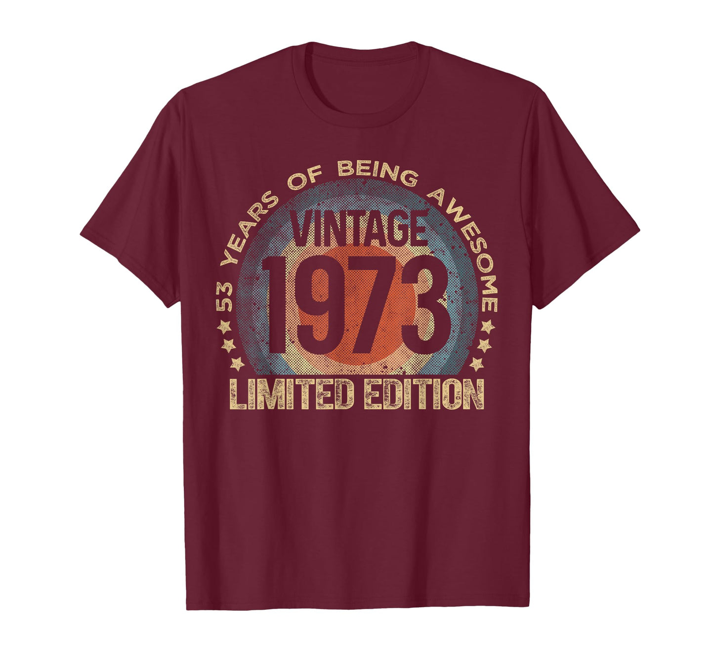 53 Year Old Gifts Vintage 1973 Limited Edition 53rd Birthday T-Shirt