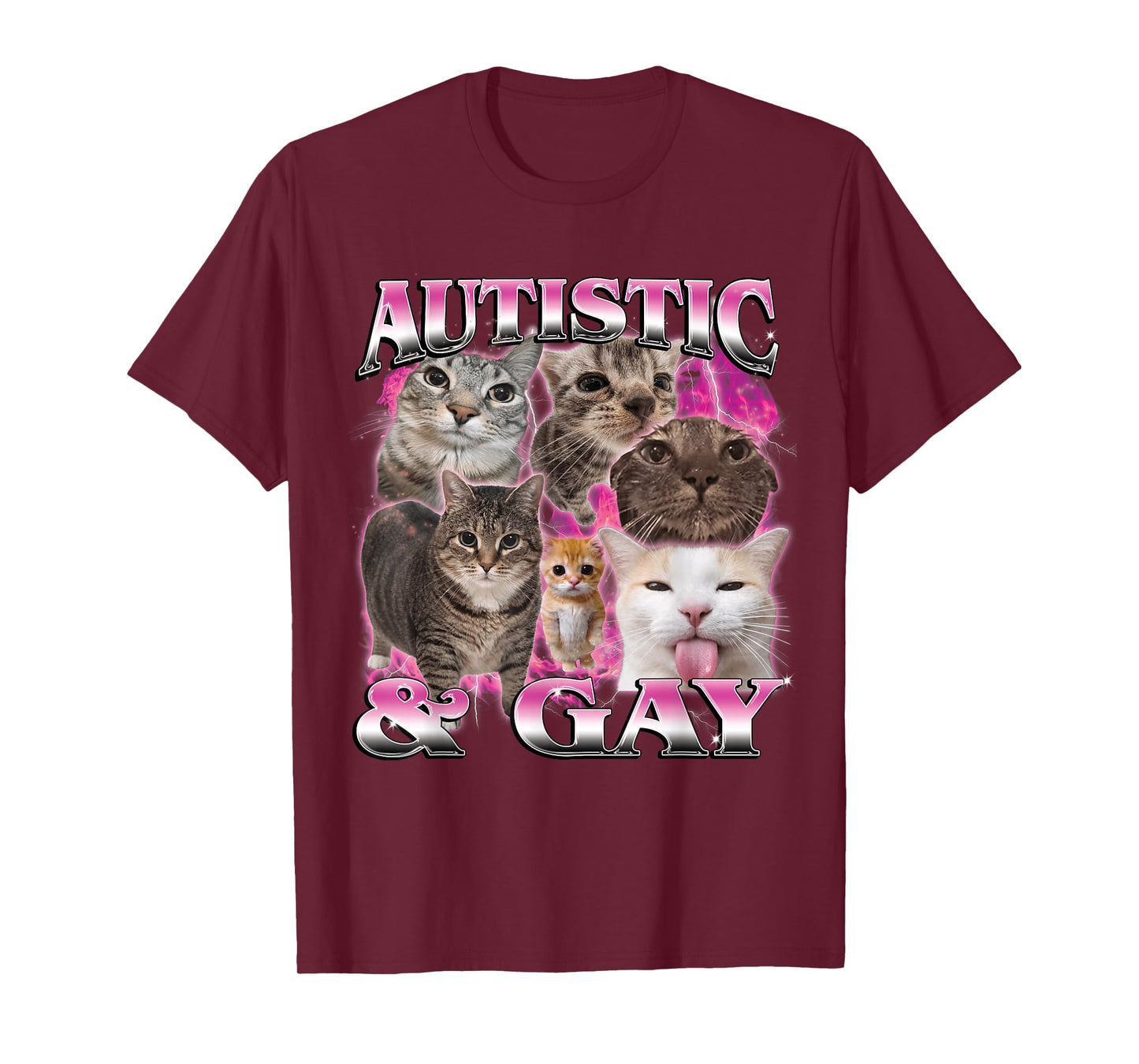 Autistic and Gay Funny Stupid Dank Cat Meme Bootleg Graphic T-Shirt