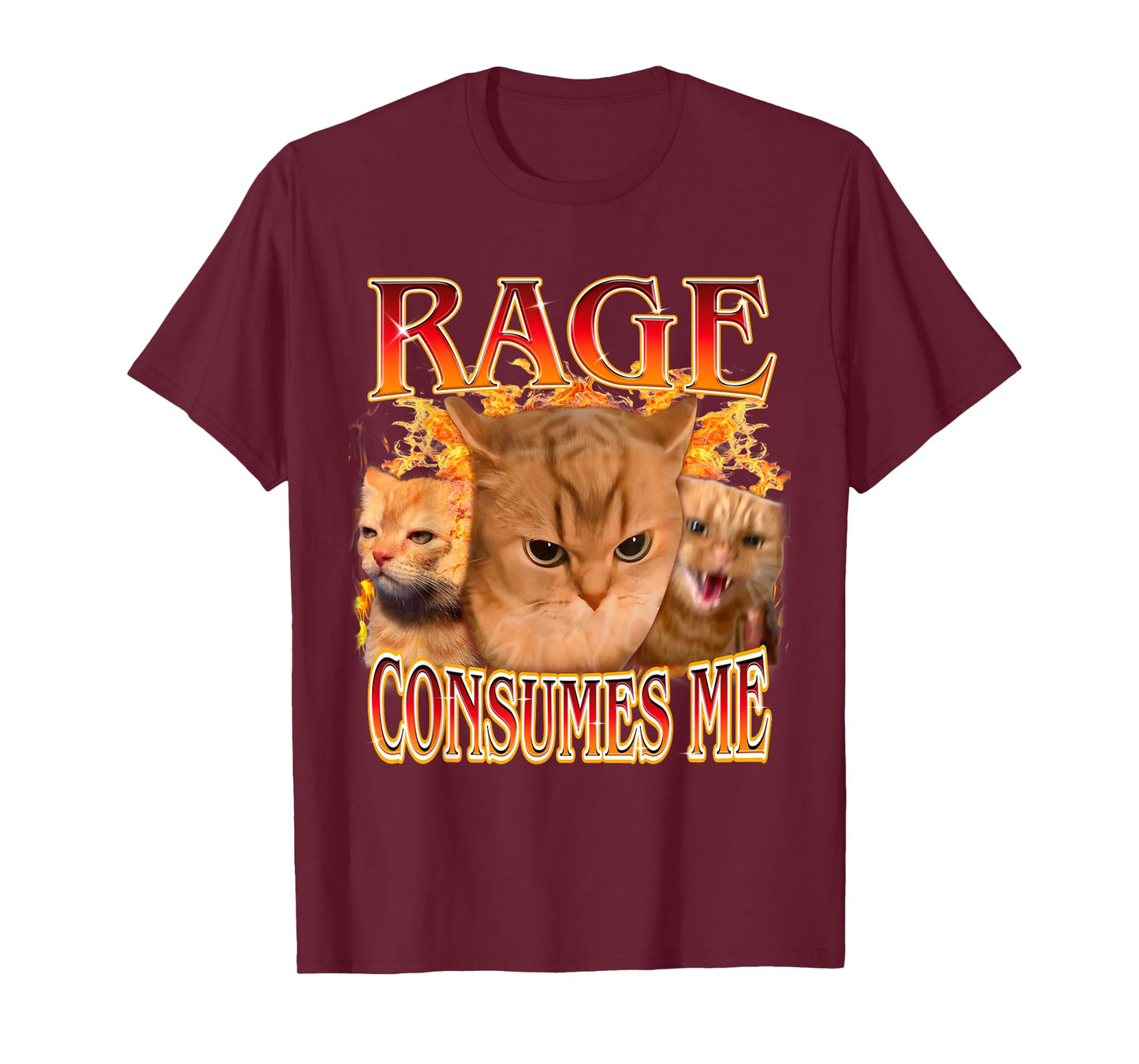 Funny Rage Consumes Me Silly Staring Cat Meme Women Men T-Shirt