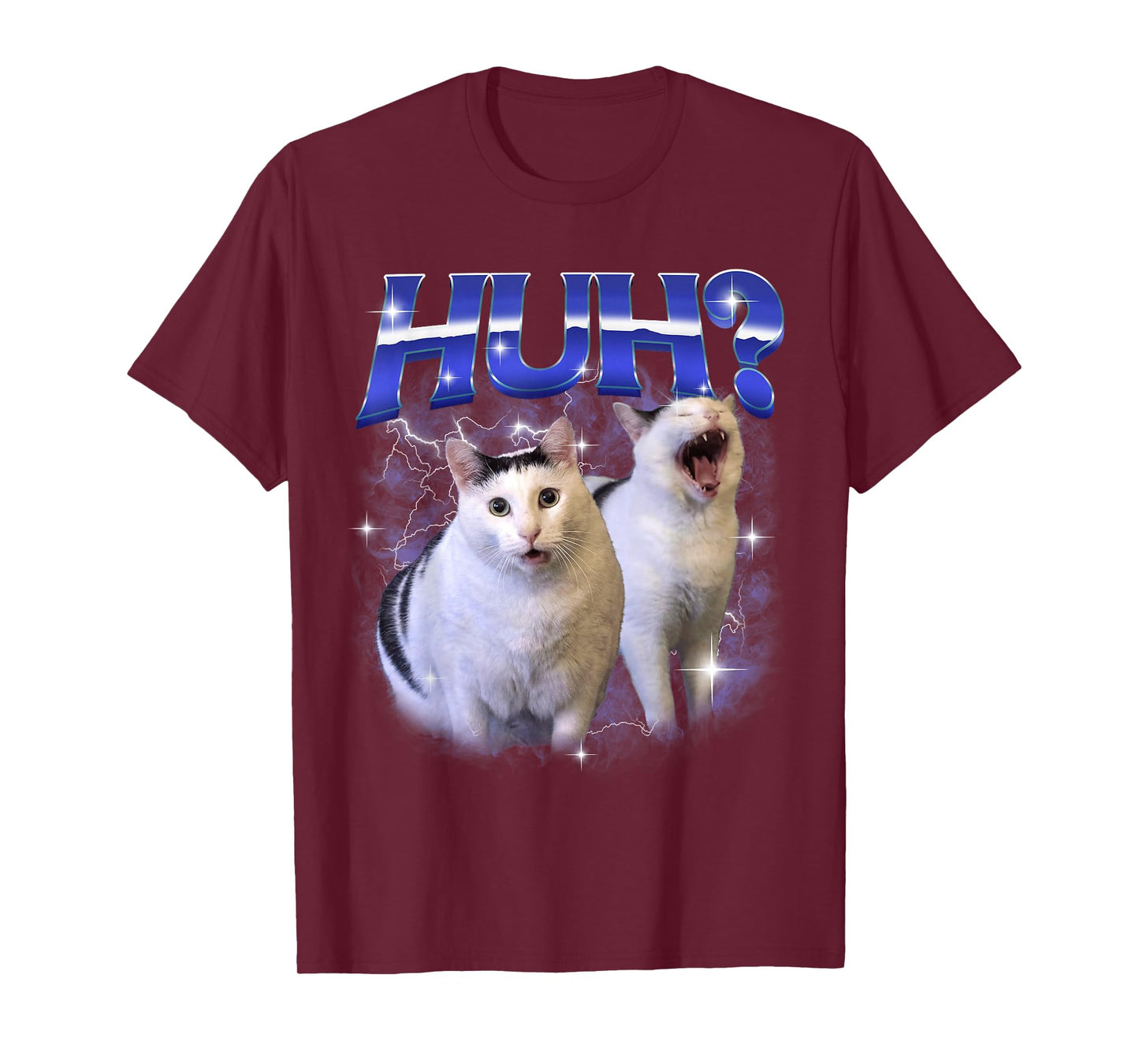 Huh Funny Dank Cat Meme Goofy Ahh Cats Silly Stupid Brainrot T-Shirt