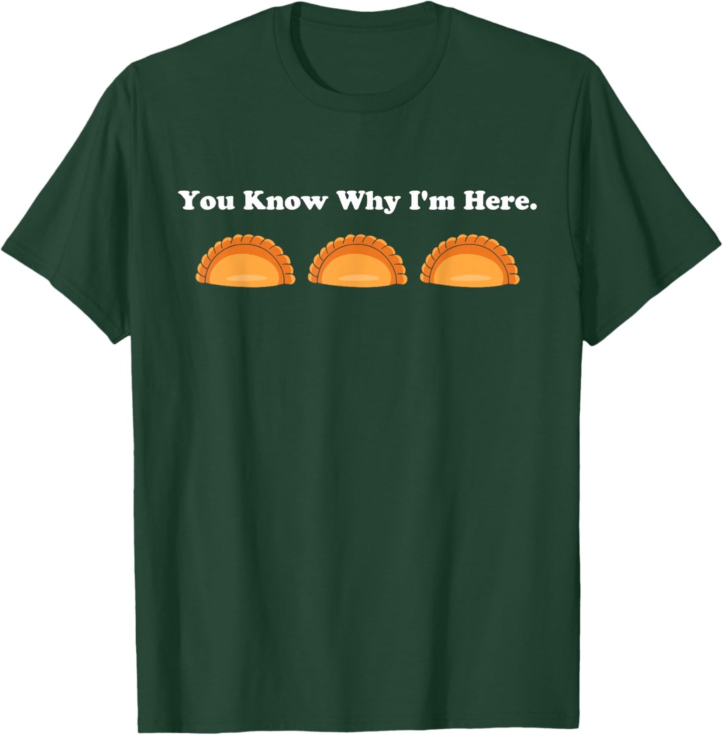 You Know Why Im Here Pierogi Squad Funny Polish American T-Shirt - T-Shirt | Forest