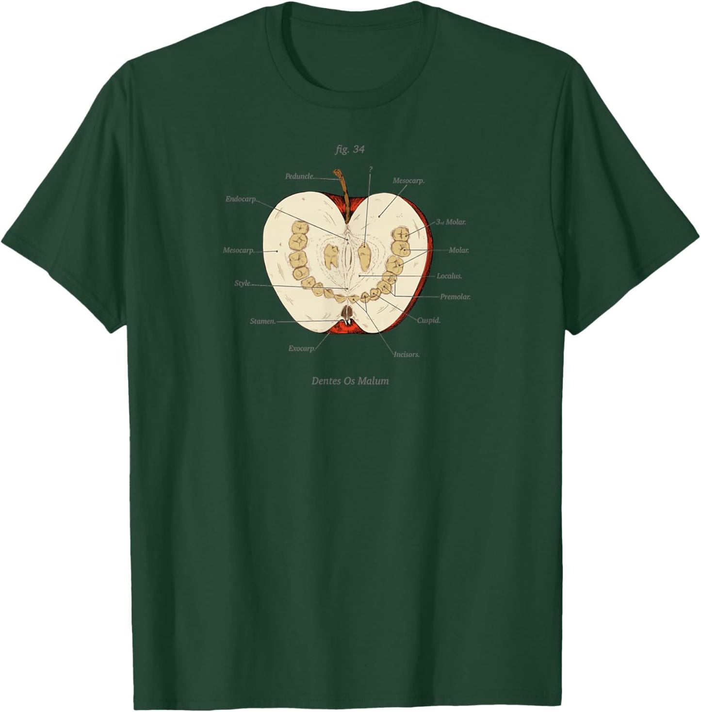 The Magnus Archives Funny Meme Anatomy Class Teeth Apple T-Shirt - T-Shirt | Forest