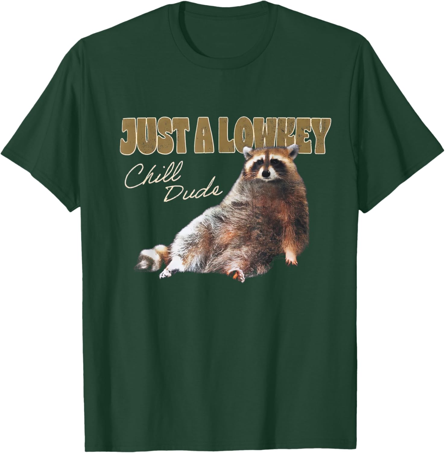 Just A Lowkey Chill Dude Cute Raccoon Funny Meme T-Shirt - T-Shirt | Forest