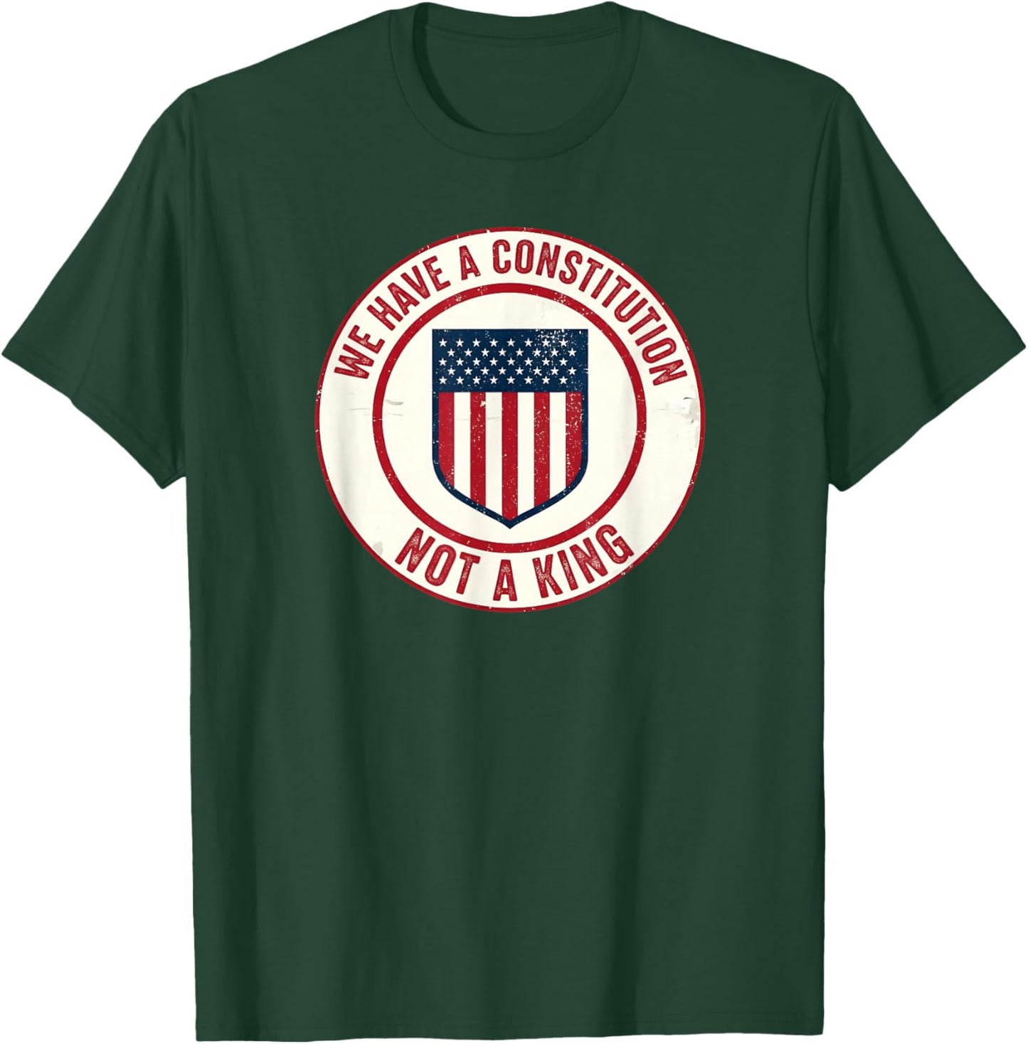 We Have A Constitution American Flag Protest T-Shirt - T-Shirt | Forest