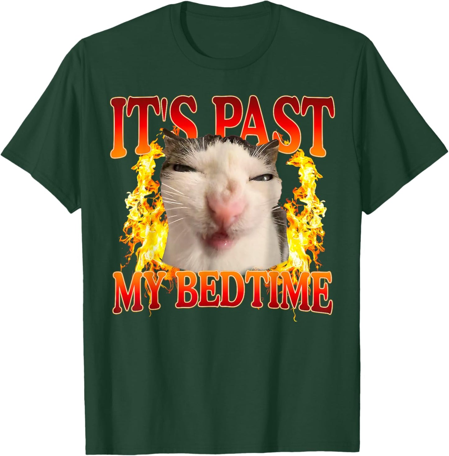Funny Cat Meme It's Past My Bedtime Humor Men Women T-Shirt - T-Shirt | Forest