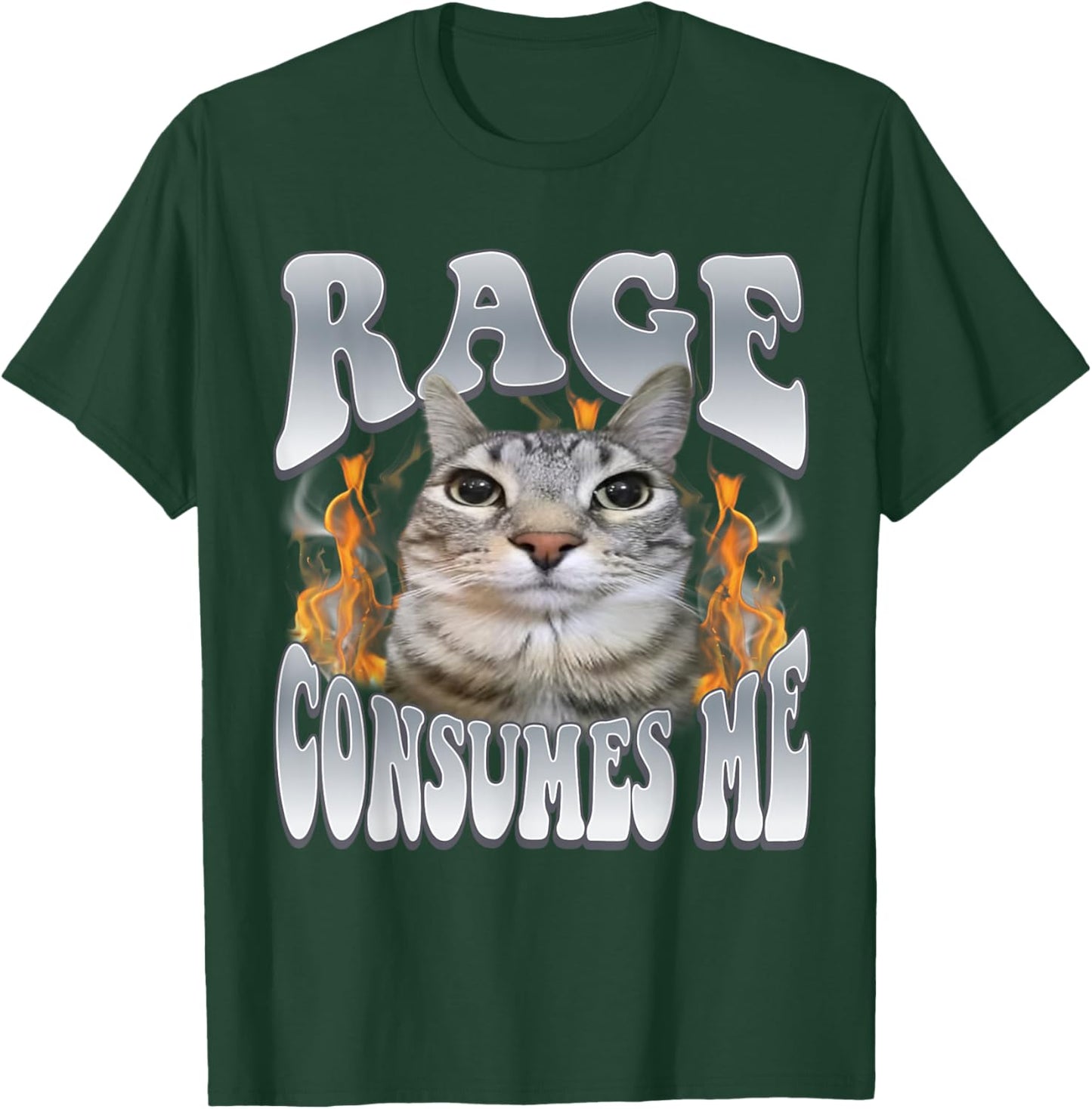 Rage Consumes Me Funny Cat Meme Vintage Unhinged Kitten T-Shirt - T-Shirt | Forest