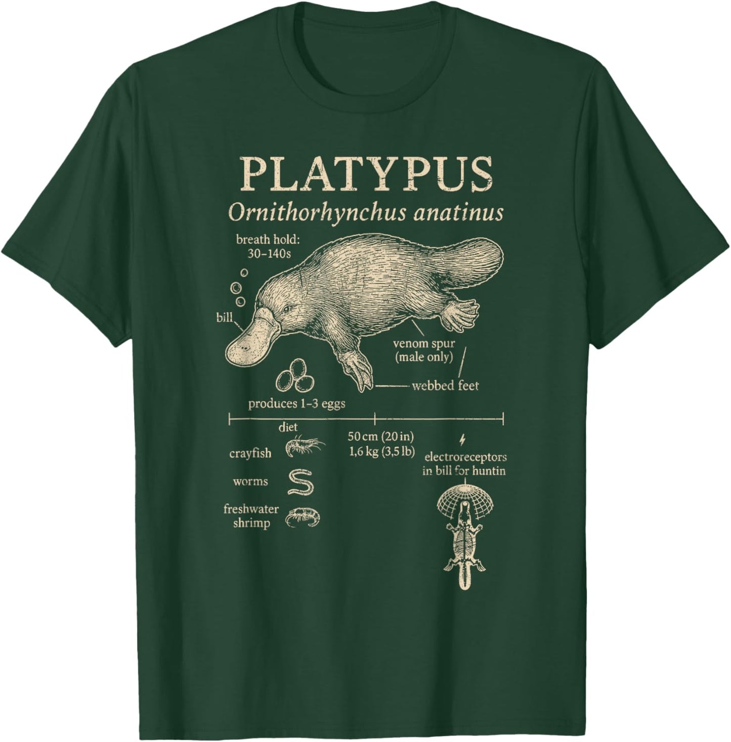 Platypus Anatomy Duck Billed Platypus Australia Wildlife T-Shirt - T-Shirt | Forest