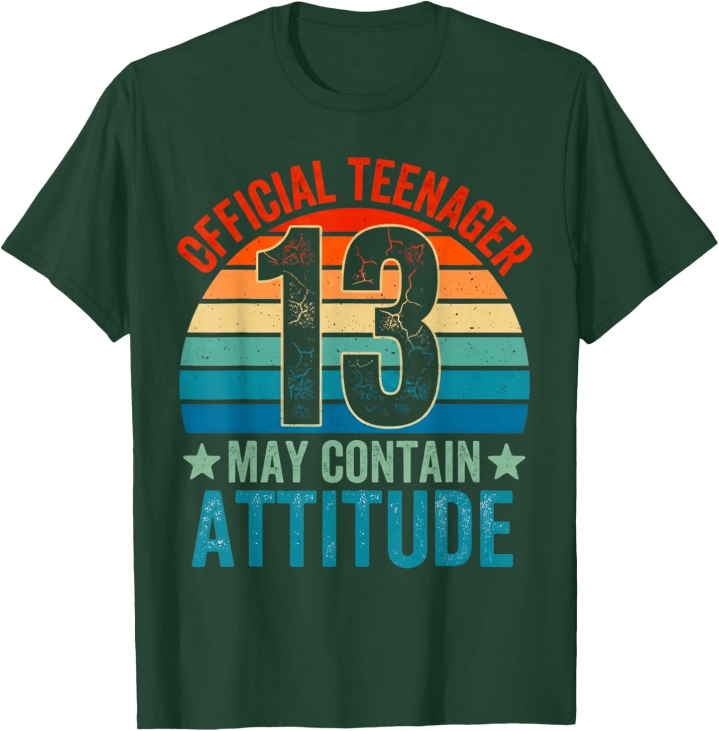 13th Birthday Boys Official Teenager Therteen Birthday T-Shirt - T-Shirt | Forest