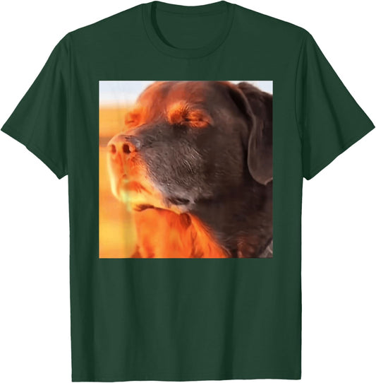 Dog in The Sunset Meme T-Shirt - T-Shirt | Forest