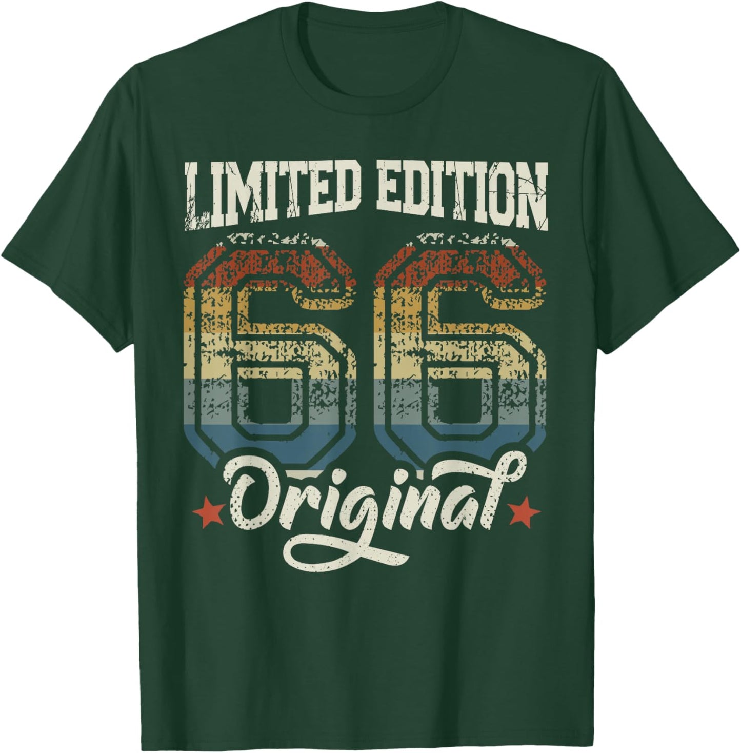 60th Birthday Man Woman 60 Years 1966 Decorative Gift Funny T-Shirt - T-Shirt | Forest