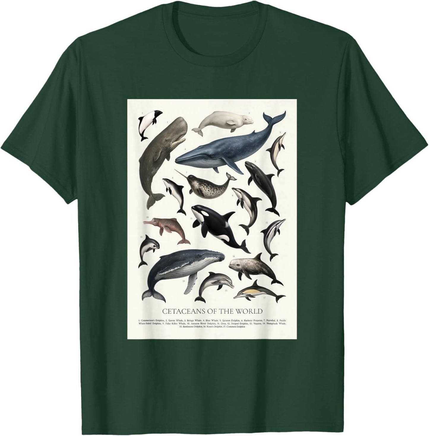 Cetaceans of The World Retro Style Identification T-Shirt - T-Shirt | Forest