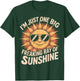 I'm Just One Big Freaking Ray of Sunshine Funny Sarcastic T-Shirt - T-Shirt | Forest