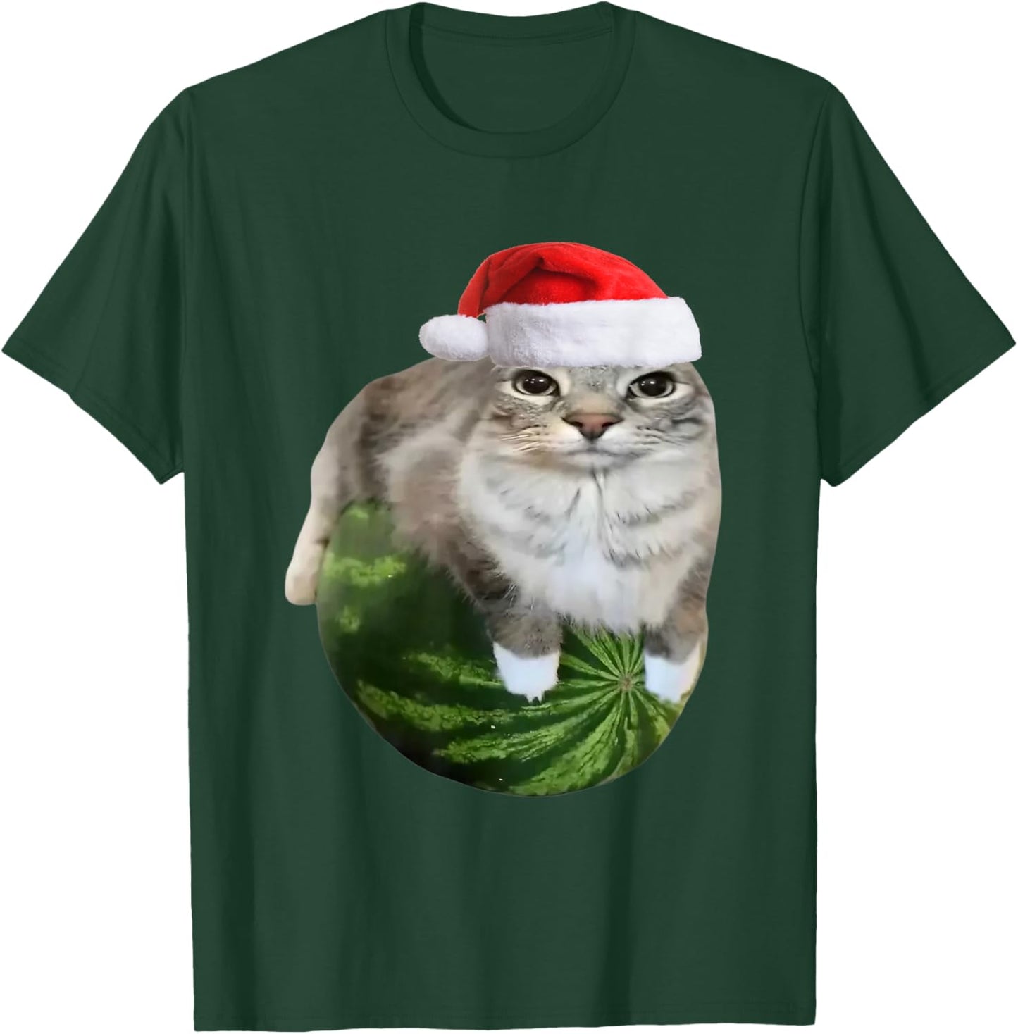 Watermelon Cat Christmas Santa Hat Funny Meme T-Shirt - T-Shirt | Forest