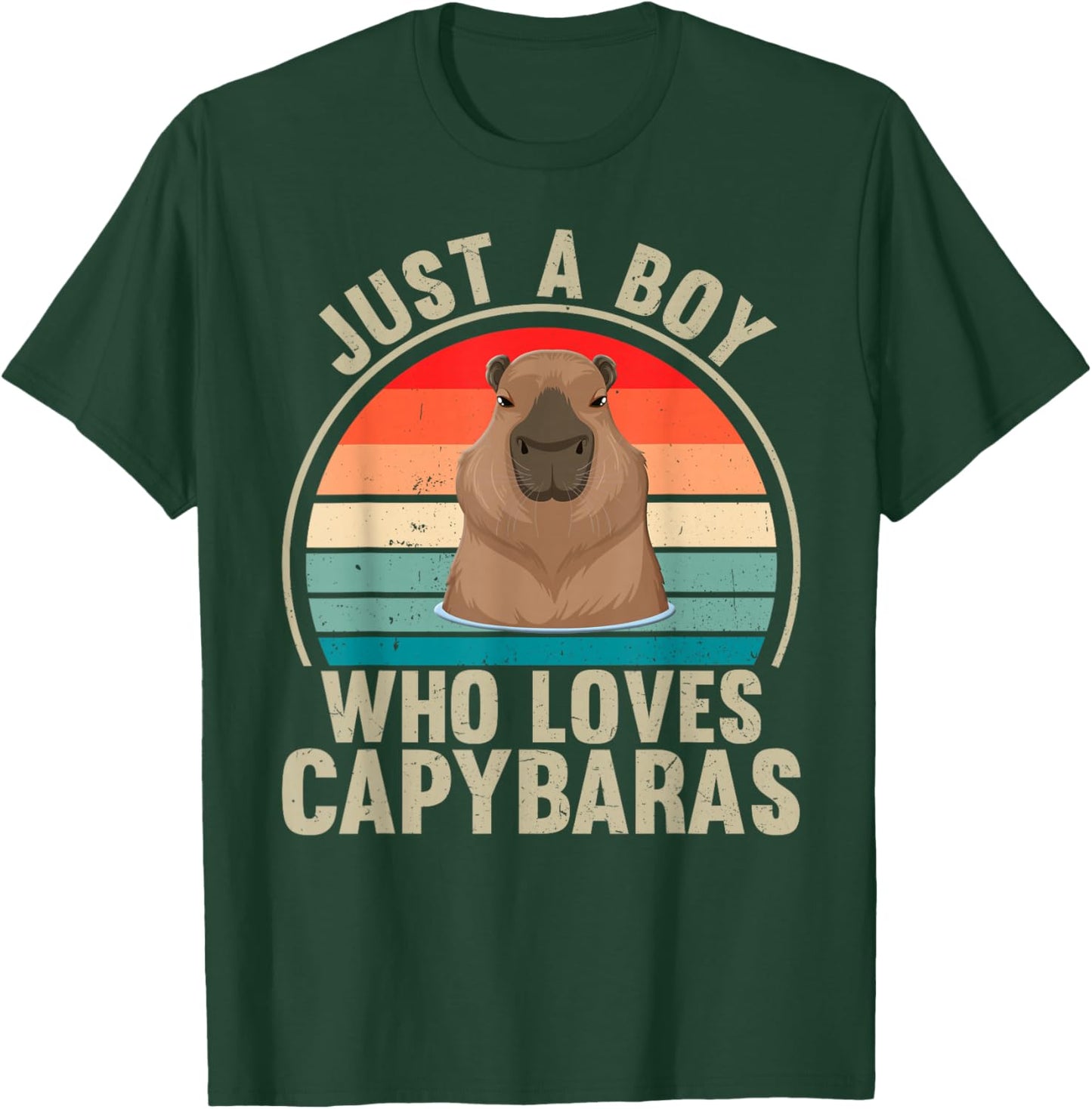 Just A Boy Who Loves Capybaras Recto Capybara Lover T-Shirt - T-Shirt | Forest