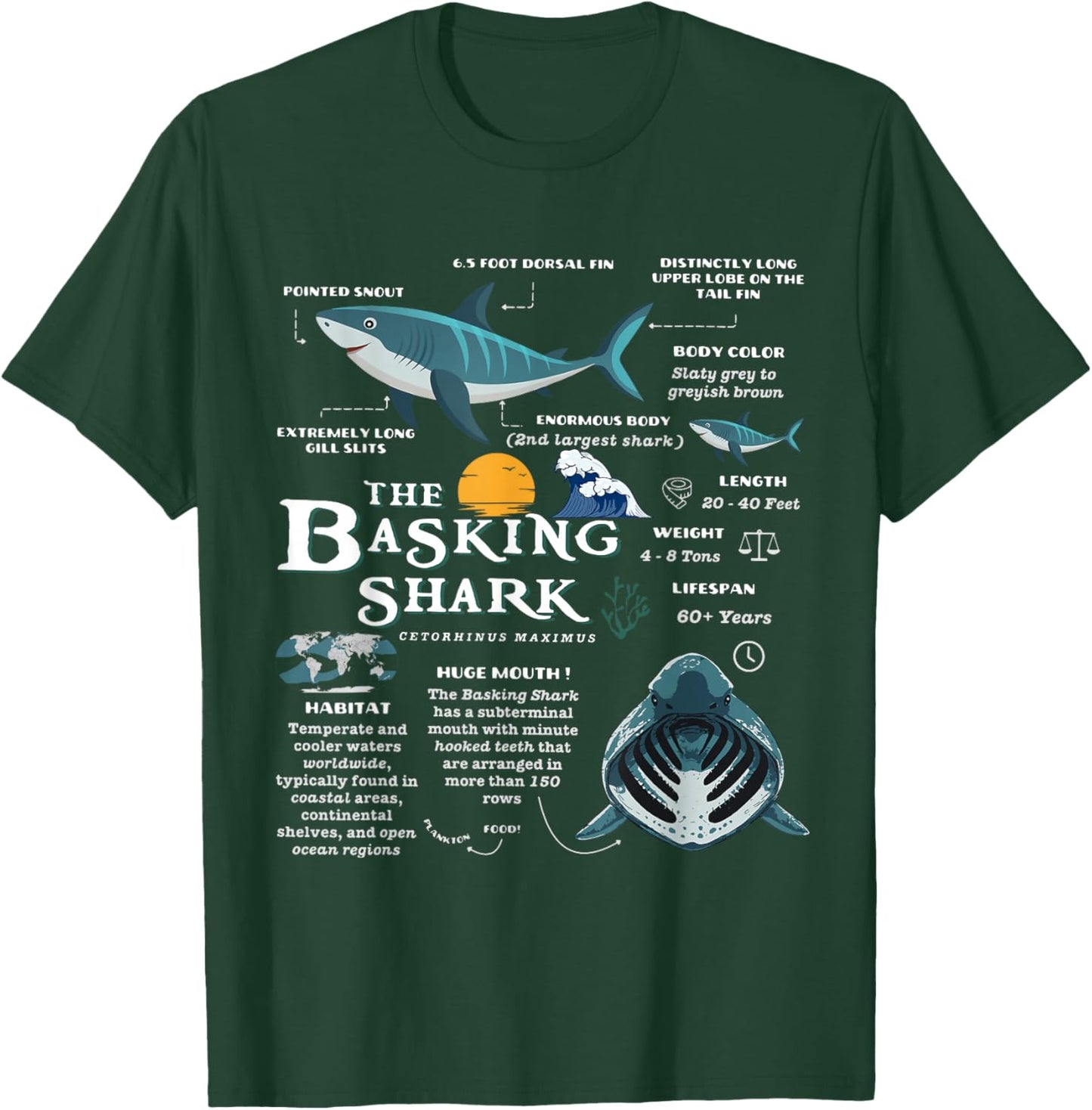 Basking Shark Anatomy Retro Wildlife Oceancore Animal T-Shirt - T-Shirt | Forest