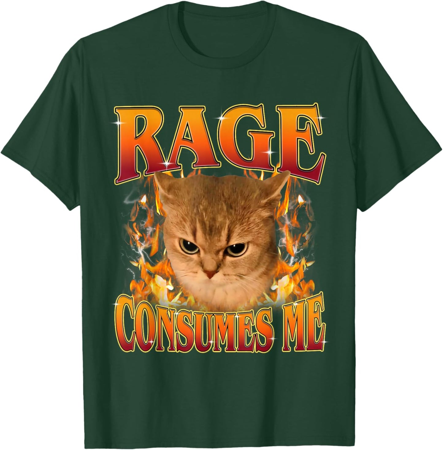 Rage Consumes Me Funny Silly Y2K Cat Meme Women Men T-Shirt - T-Shirt | Forest