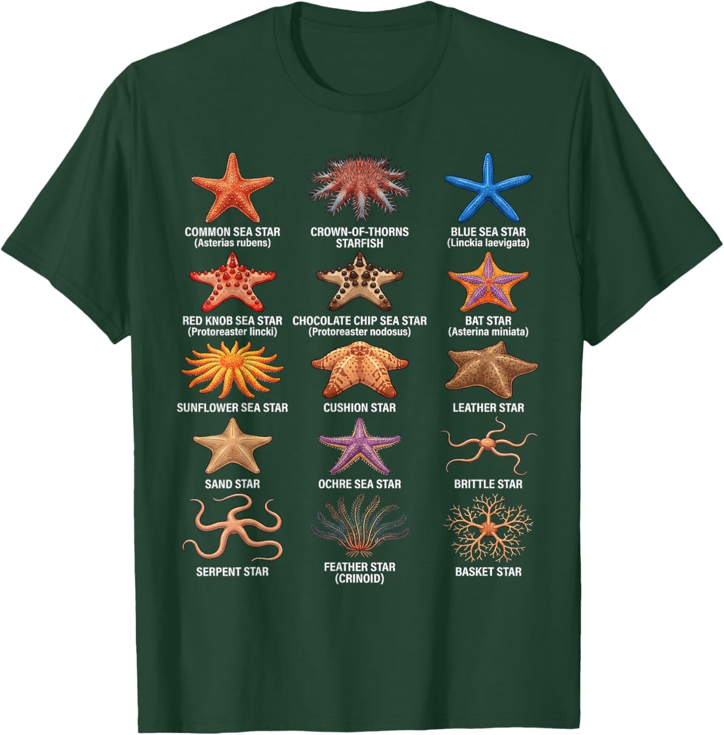 Types of Sea Stars, Sea Star Species Chart, Starfish Types T-Shirt - T-Shirt | Forest