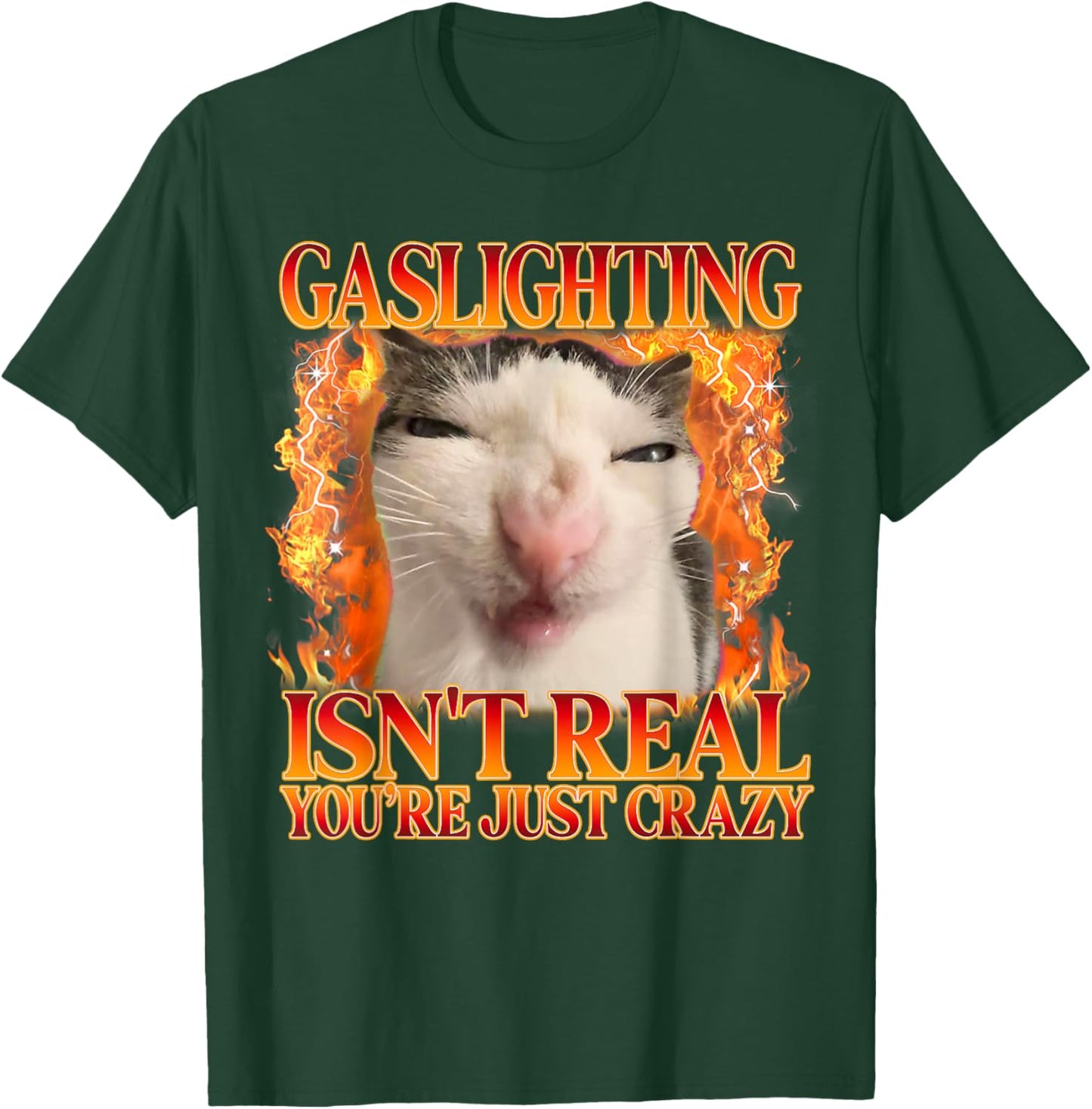 Funny Cat Meme Gaslighting Isn't Real You're Just Crazy T-Shirt - T-Shirt | Forest