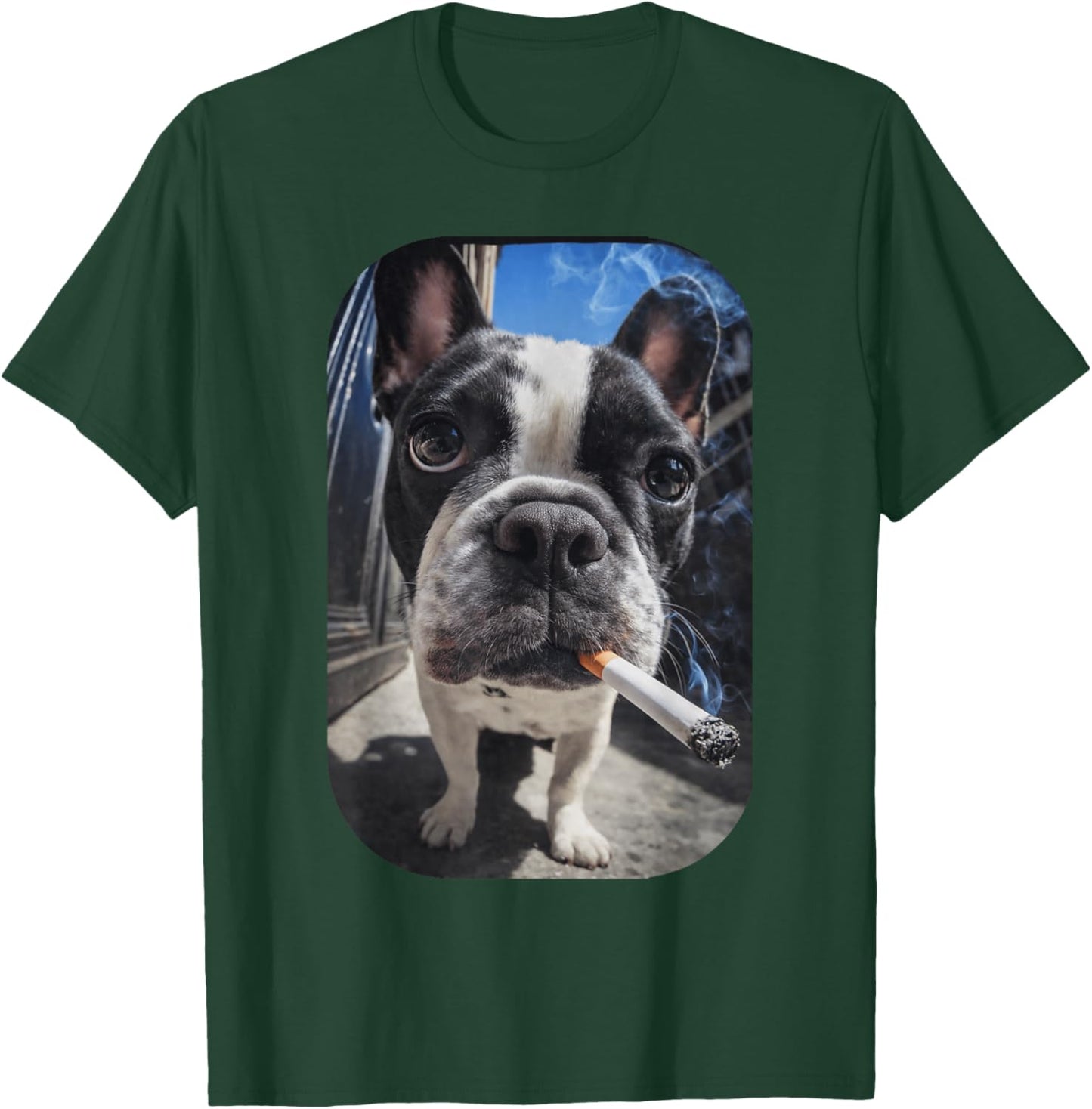 Funny Smoking Boston Terrier Dog Meme Gen Z Cigarette T-Shirt - T-Shirt | Forest