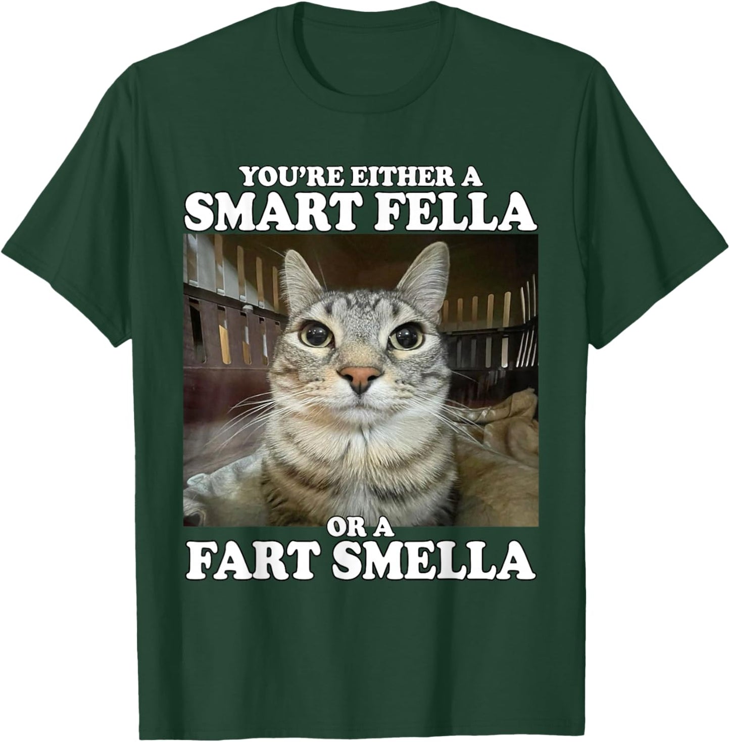 You're Either A Smart Fella Or A Fart Smella Funny Cat Meme T-Shirt - T-Shirt | Forest