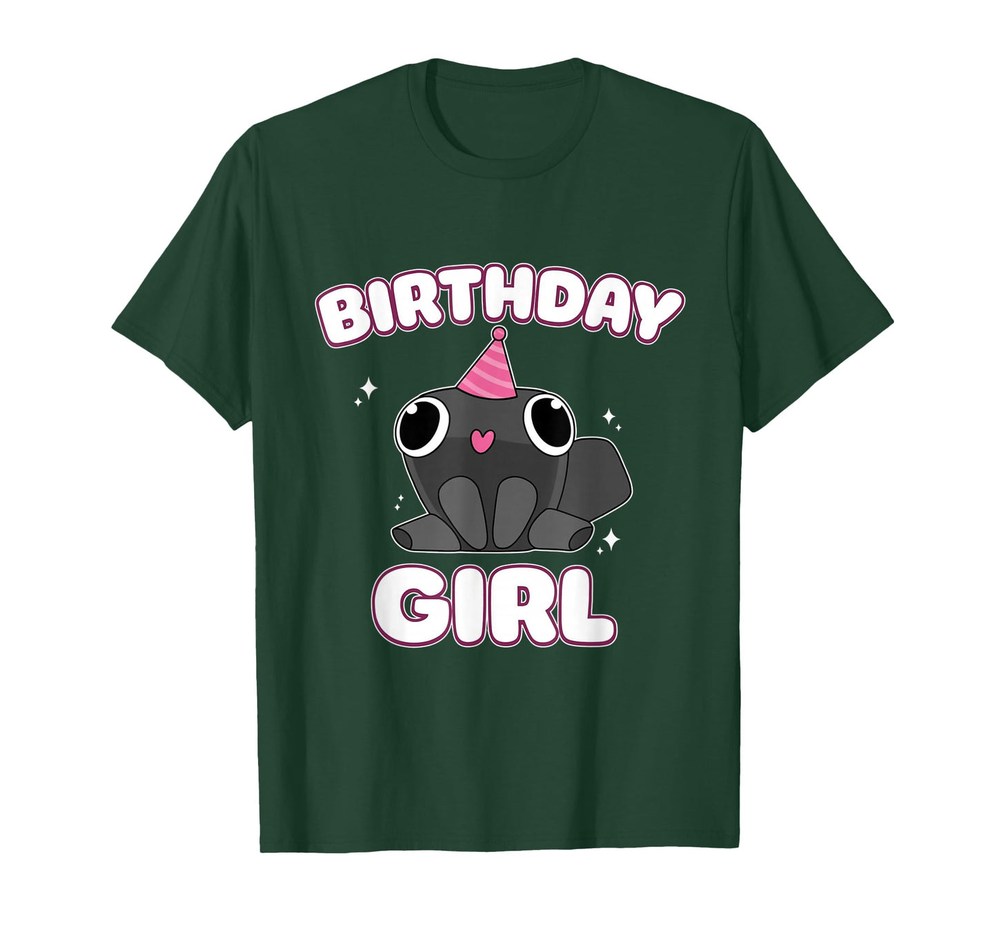 Birthday Girl Pebble Funny Dandy's Minimalist Humor Gifts T-Shirt