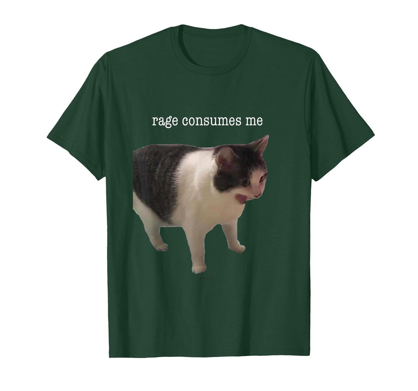 Rage Consumes Me Funny Cat Meme Men Women T-Shirt