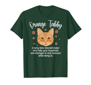 Funny Orange Tabby Cat Owner Orange Tabby Cat Lover T-Shirt