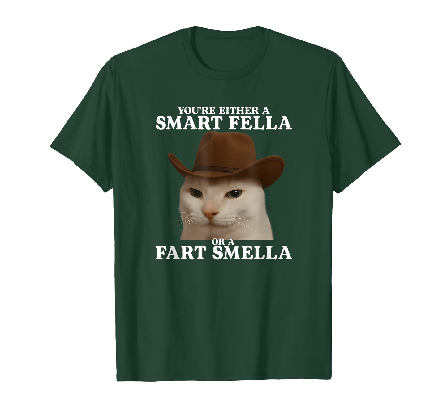 You're Either a Smart Fella or a Fart Smella Funny Cat Meme T-Shirt