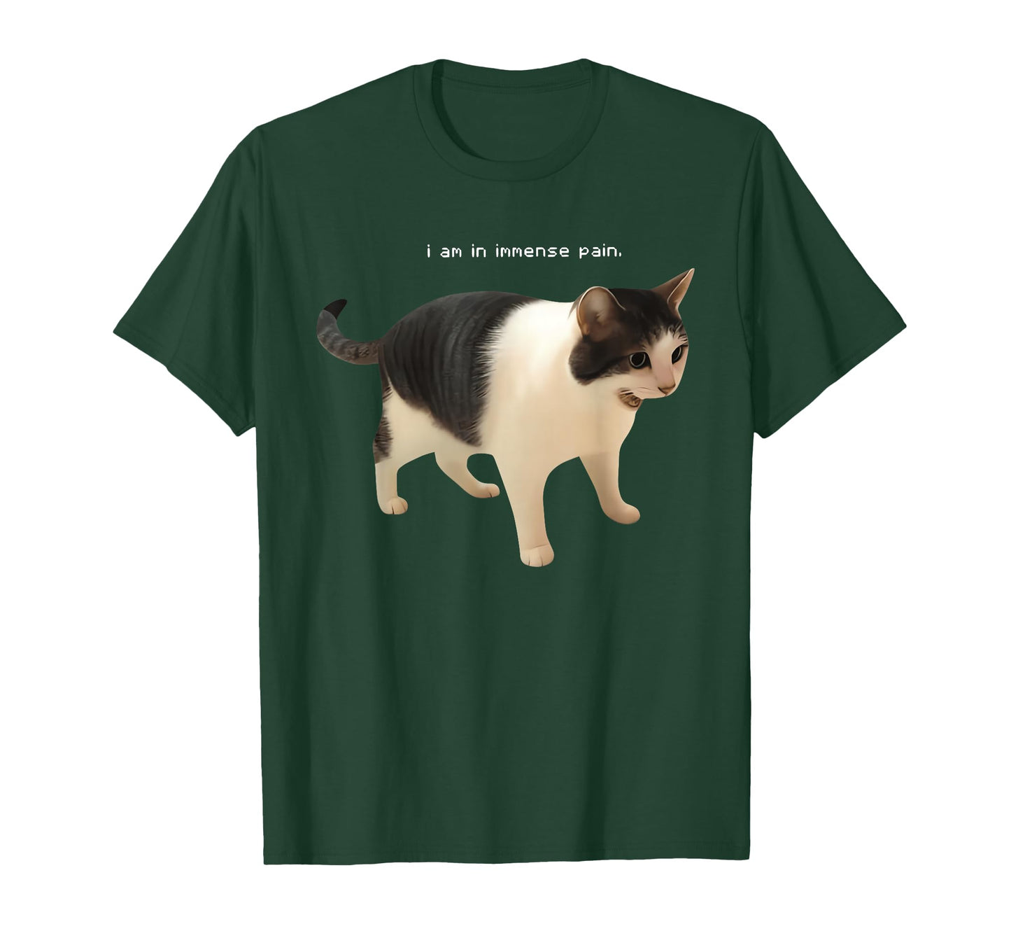 I Am in Immense Pain Funny Cat Meme Quote T-Shirt