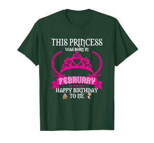 This Princess was Born in February Funny Feb Birthday Queen T-Shirt