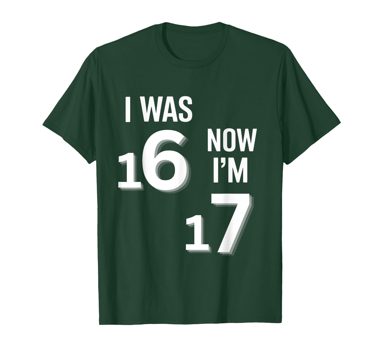 17 Years Old Birthday Shirt -I was 16 Now I'm 17 Funny 67 T-Shirt