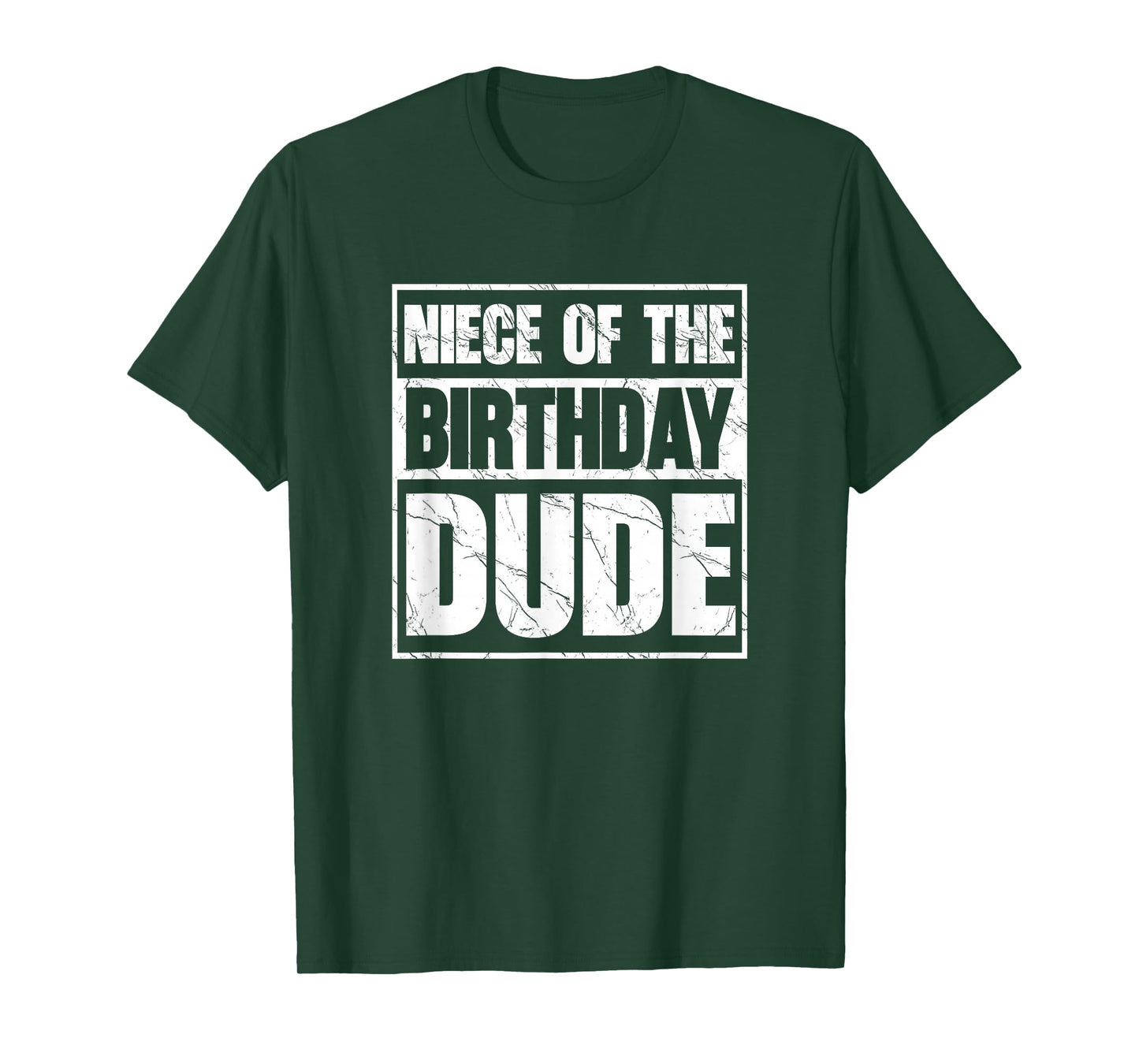 Niece of The Birthday Dude Niece of The Birthday Boy T-Shirt