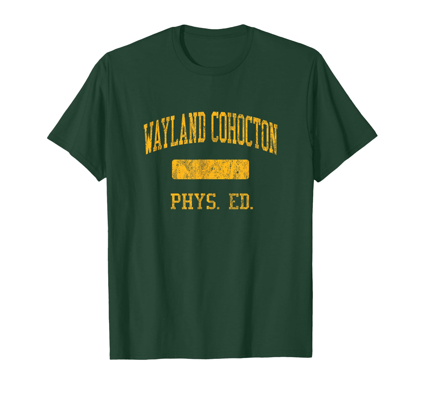 Wayland Cohocton High School HS Wayland NY PHYS Ed T-Shirt