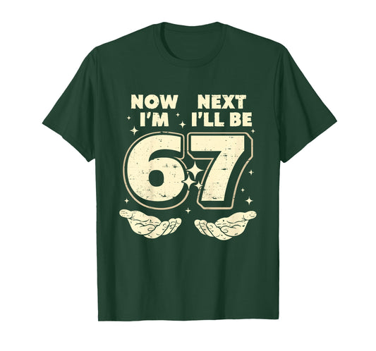 6 Year Old Birthday Boys Kids Now I'm 6 Next Year I'll be 7 T-Shirt