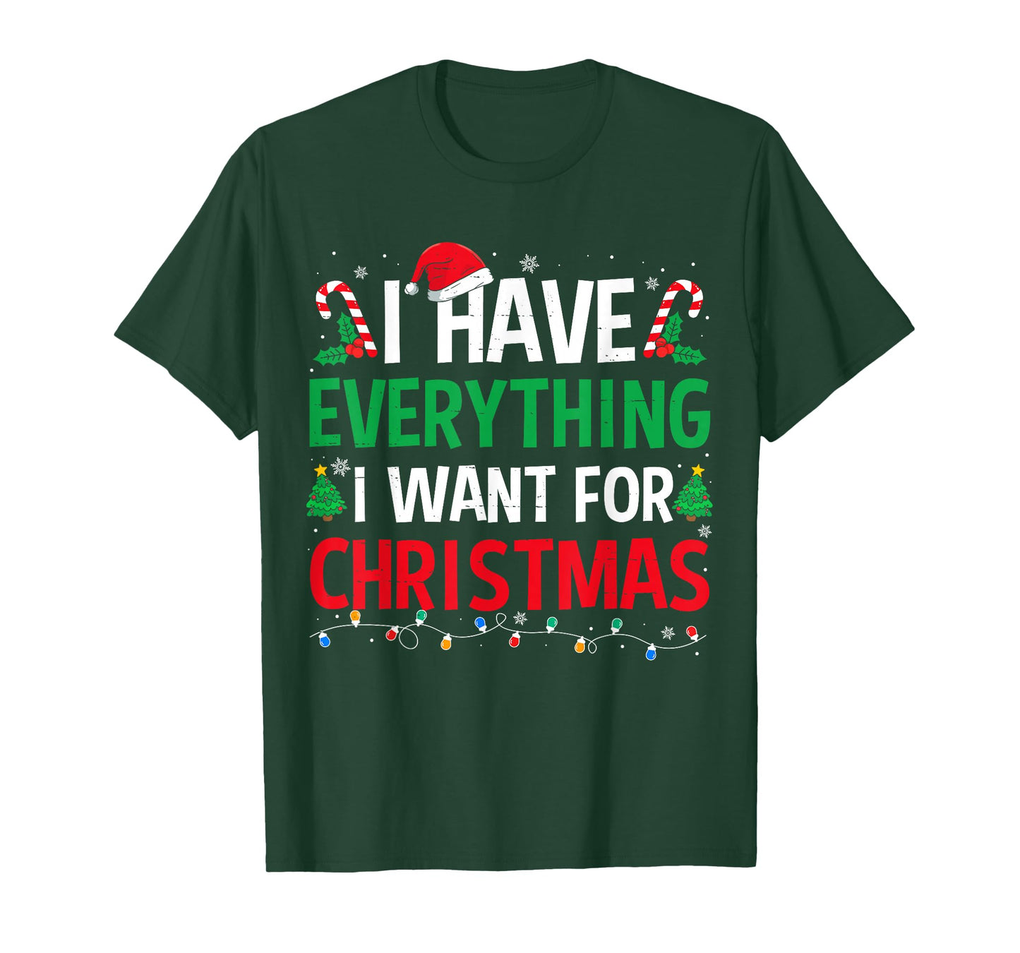 I Have Everything I Want for Christmas Couples Pajama Xmas T-Shirt