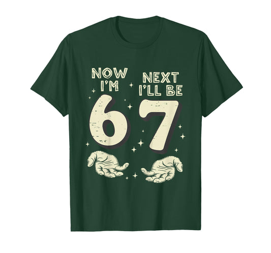 6 Year Old Birthday Boys Kids Now I'm 6 Next Year I'll be 7 T-Shirt